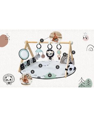 D&eacute;cor Luxe Developmental Gymini