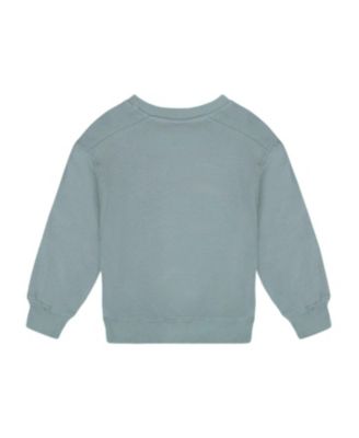 Boys' Animated Print French Terry Sweatshirt - Little Kid