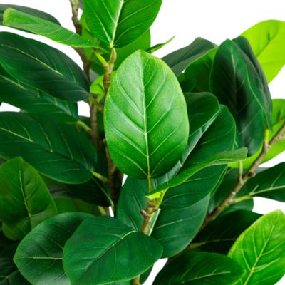 5&#39; Artificial Petite Audrey Ficus Tree