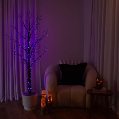 6' Pre-Lit Artificial Halloween Twig Tree