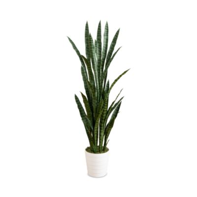 5' UV Resistant Artificial Sansevieria Plant in White Decorative Planter (Indoor/Outdoor)