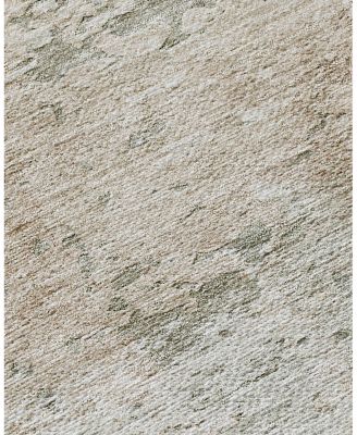 Dalyn Rug Company Solace Washable SL5 Area Rug 8'10" x 10'0"