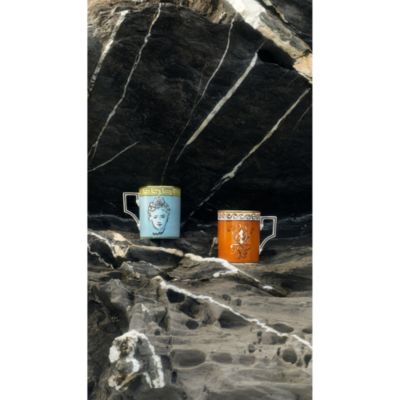 Il Viaggio Di Nettuno Dinnerware Collection