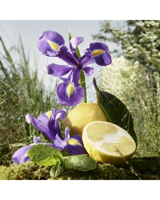 Snow Blossom Eau de Parfum 3.3 oz.