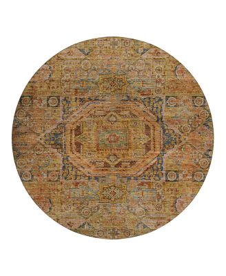Dalyn Rug Company Silk Road SR10 Round Area Rug, 8'0"x8'0"
