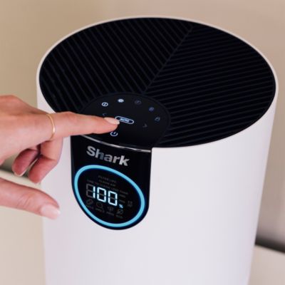 Air Purifier with True HEPA