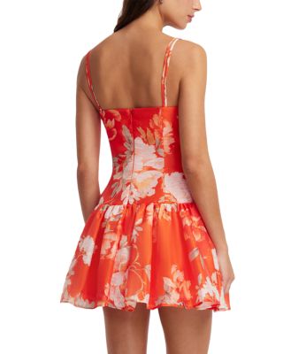 Lorena Ruffled Minidress