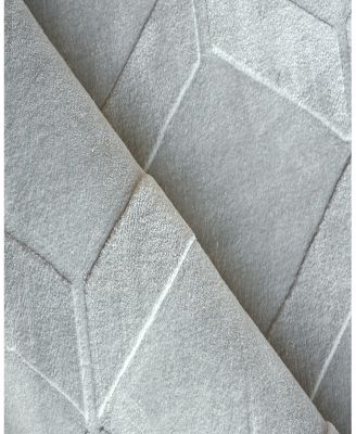 Exquisite Rugs Brunello Modern 6736 Area Rug 2'X3'