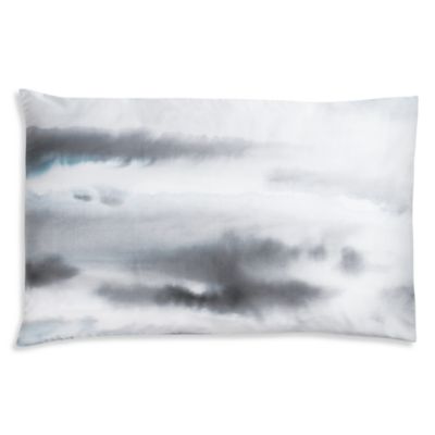 After The Storm King Shams