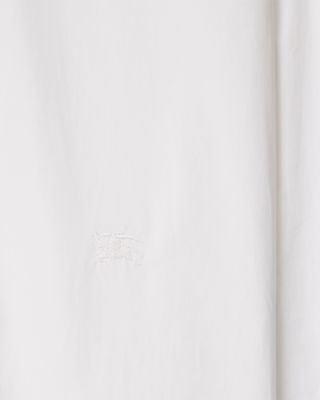 Ellora Regular Fit Formal Shirt