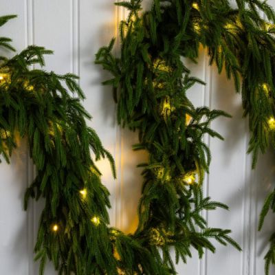 Pre-Lit Artificial Real Touch Norfolk Island Pine 9' Garland with Warm White LED Lights and Natural Look