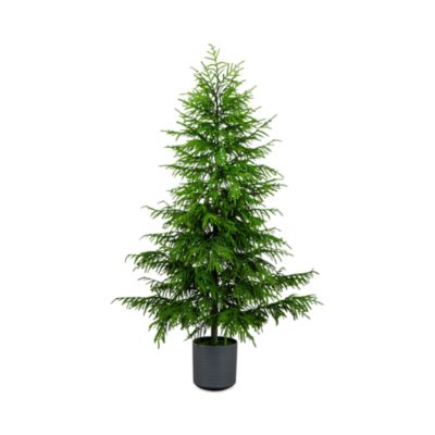 Artificial Real Touch Norfolk Island Pine 7' Christmas Tree with Natural Look