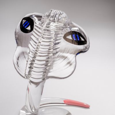 UHV Homage Glass Cobra