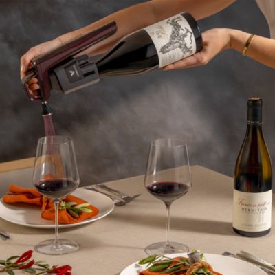 Timeless Six+ Wine Preservation System