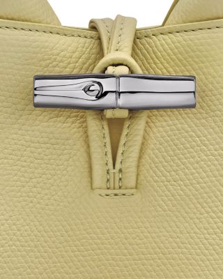 Le Roseau XS Handbag in Smooth Leather