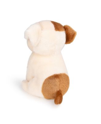  Bt Chaps Bertha The American Bulldog Floppy In Giftbox Plush 5-7 - Ages 5-7