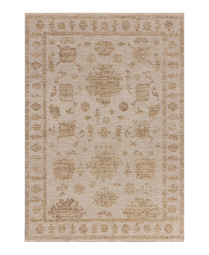 Loloi Willa Wia-07 Area Rug 9'3x13' In Brown