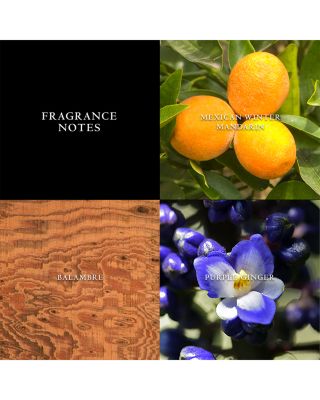 Artisan Eau de Toilette Spray 4.2 oz.