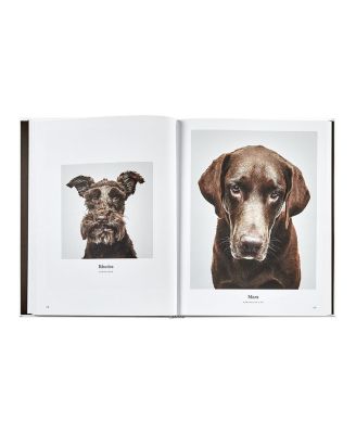  Good Dog Leather Bound Book