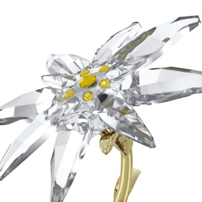 Florere 130th Anniversary Bell Jar