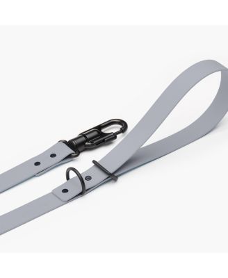 Signature Leash, Medium