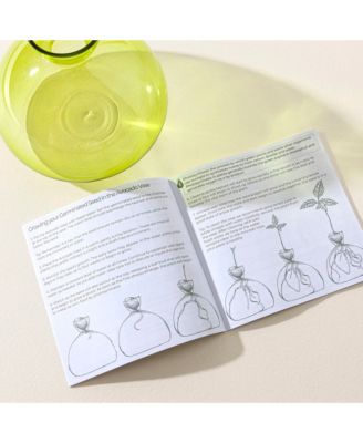  Avocado Vase by ilex Studio