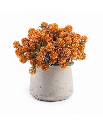  Berries in Patt Pot Arrangement