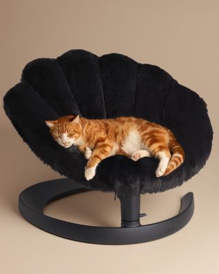 Shell Pet Bed and Swaying Lounger