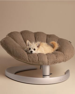 Shell Pet Bed and Swaying Lounger