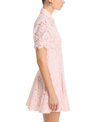 Swanetta Lace Dress