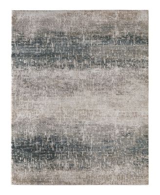 Feizy Richmond RCH39R5F Area Rug 9' x 12'