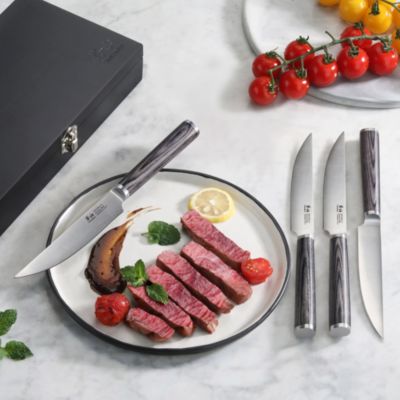 4 Piece Pakkawood Steak Knife Set