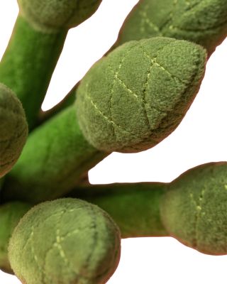 Amuseables Asparagus Plush - Ages 0+