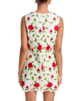 Ivette Embroidered Mini Dress