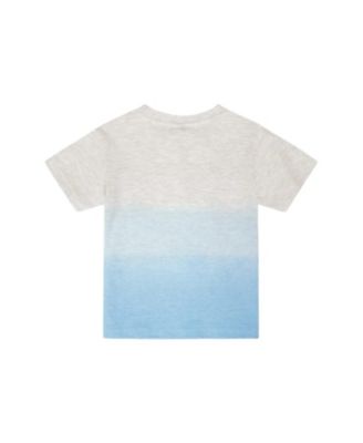 Boys' Organic Cotton Short Sleeve Beach Graphic Gradient T-Shirt - Little Kid