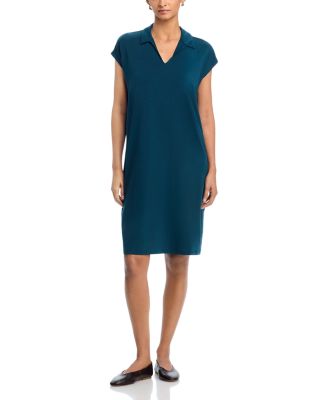 Classic Collar Dress