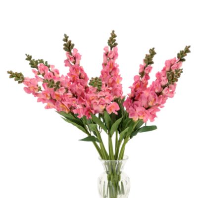 Snapdragon Stem, Set of 12