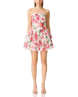 Roselle Frill Mini Dress