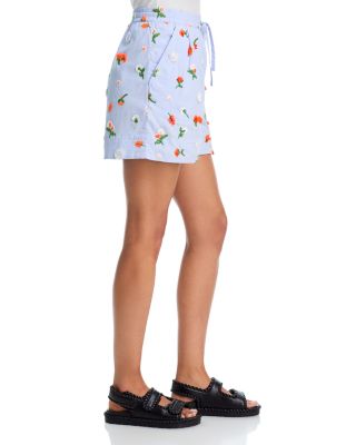 Embroidered Embellished Shorts