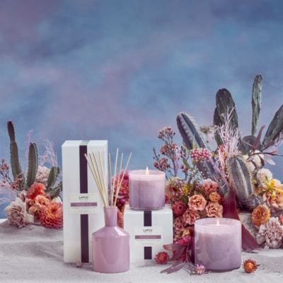 Midnight Cactus Classic Reed Diffuser, 6 oz. 