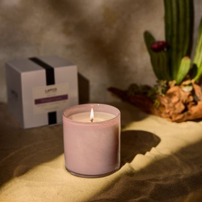 Midnight Cactus Classic Candle, 6.5 oz. 