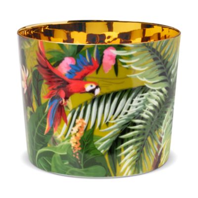 Sip of Gold Tumbler - Paraíso, Jungle