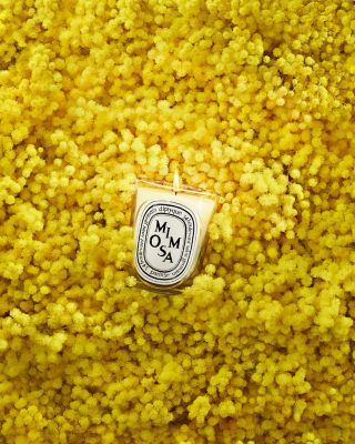 Mimosa Classic Candle 6.7 oz.