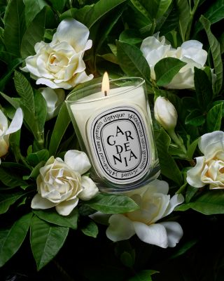 Gardenia Classic Candle 6.7 oz.