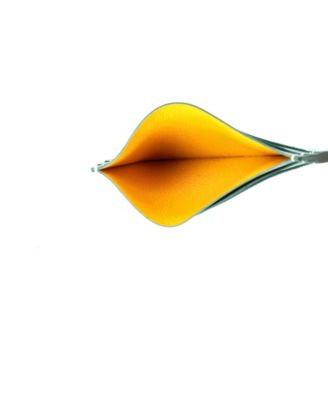 Saint Sulpice Card Holder Coated Canvas