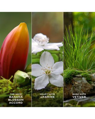 Daisy Wild Eau de Parfum for Women & Body Lotion Trio Gift Set ($229 value)