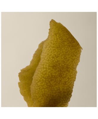 Rind Concentrate Body Balm 17 oz.