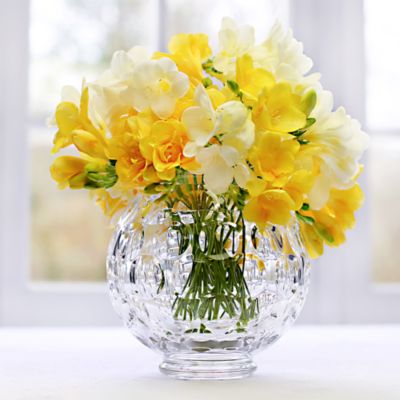 Vera Wang Crystal Vases - Bloomingdale's