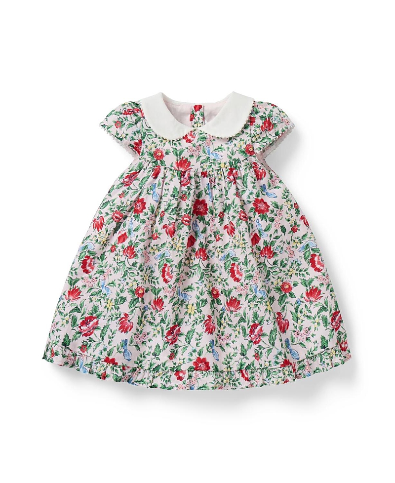Janie and Jack Girls' Ditsy Floral Collared Dress - Baby