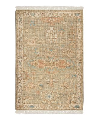 Nourison Home Heritage Vine HTV04  Area Rug Collection